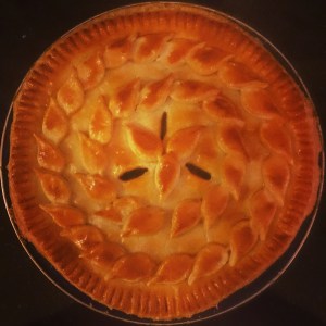 Chicken mushroom pie