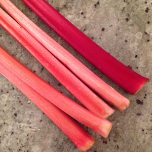 Rhubarb