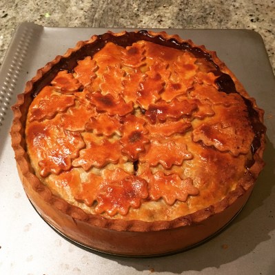 Beef bourguignon pie